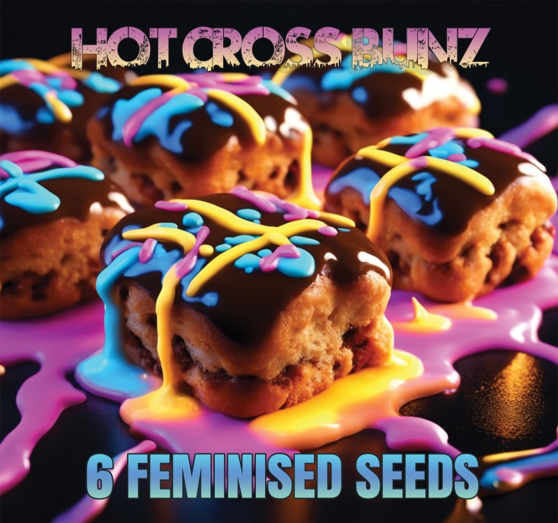 Picture of Hot Cross Bunz 6 Seed Pack